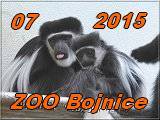 Bojnice